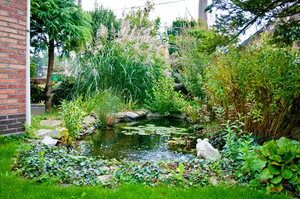 Etang - Laurent Lacroix, Parc et jardin